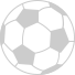 L1